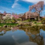 shofuso house