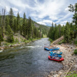 rafts on a riverbank in the forest